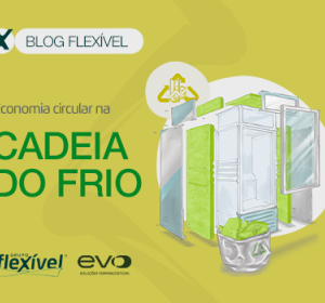 Economia circular na cadeia do frio: como o Grupo Flexível transforma o setor com sustentabilidade e inovação